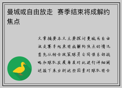 曼城或自由放走  赛季结束将成解约焦点